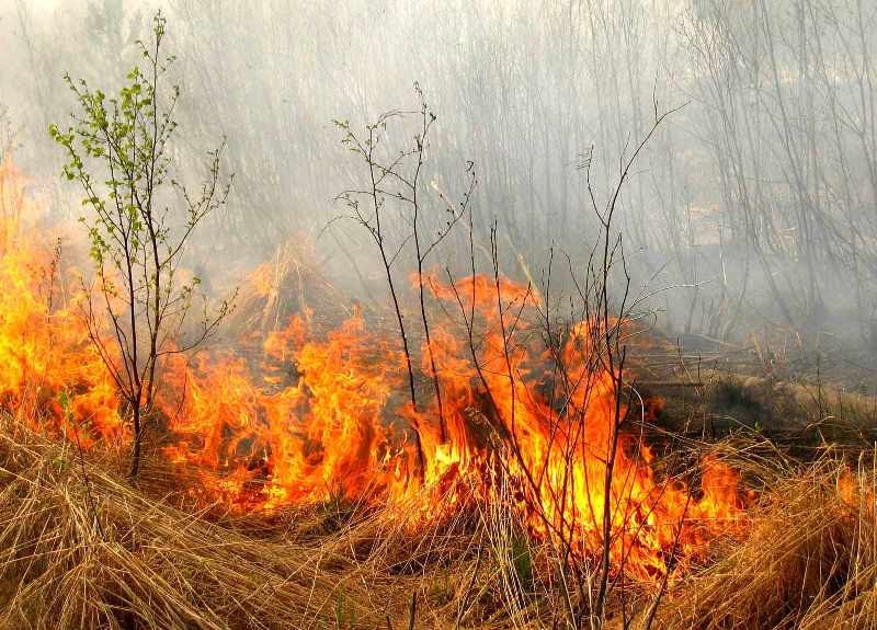 У Коломиї госпіталізували жінку, яка ледь не загинула під час спалювання сухої трави