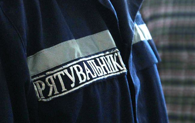 На Прикарпатті рятувальники знищували гнізда ос і шершнів, а також ловили змію