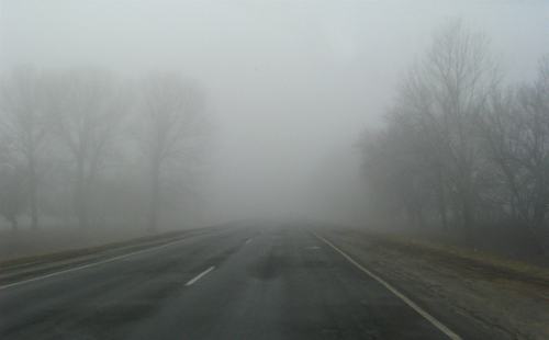 Прикарпатських водіїв попереджають про туман на дорогах